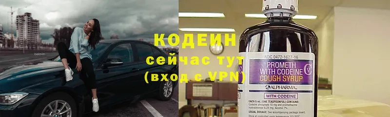 где можно купить   Камышлов  Кодеин напиток Lean (лин) 